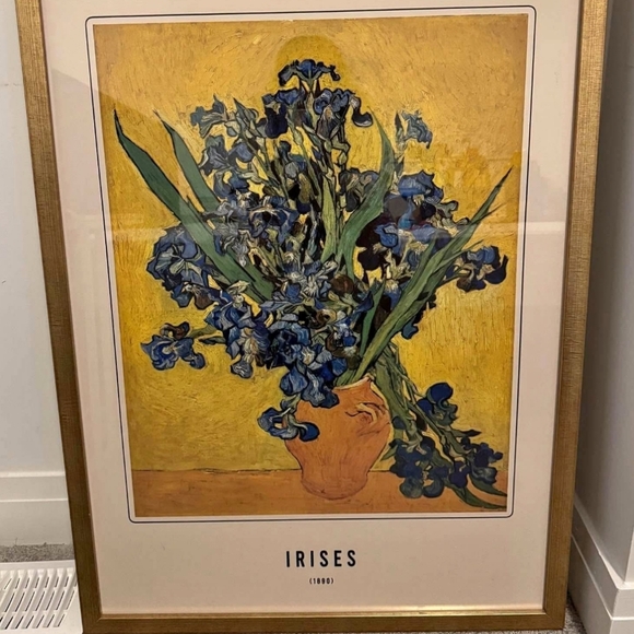 Meet your Posher, Lucy - Picture 1 of 1